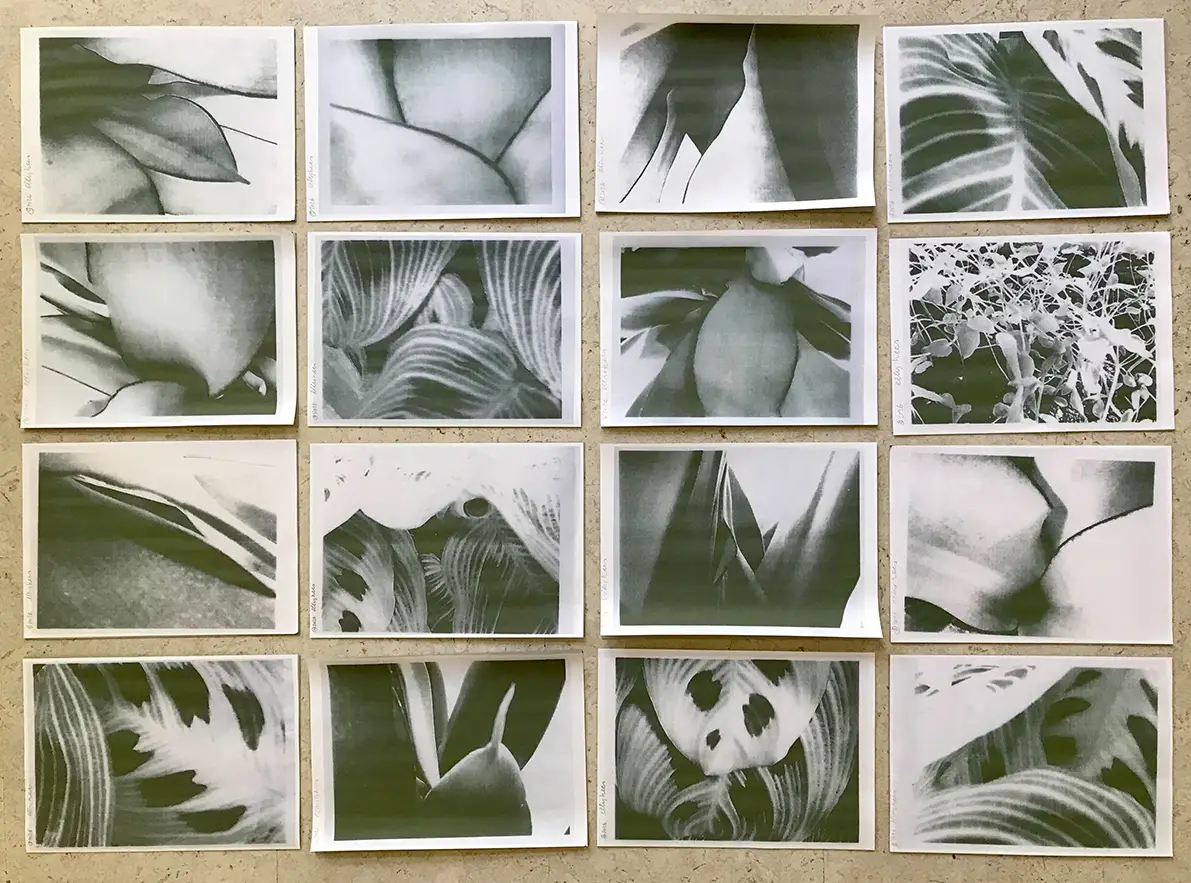 16 printen A4 PLANTEN