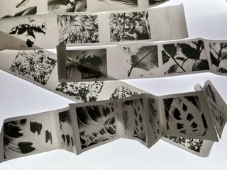 foto;s met een instantprintcamera